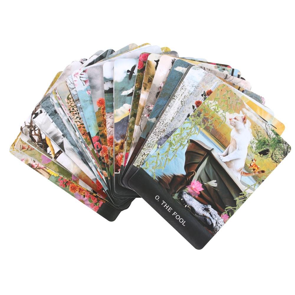 Something Different - Grimalkin's Curious Cats Tarot cards - Multicolours